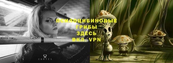 кокс Дмитров