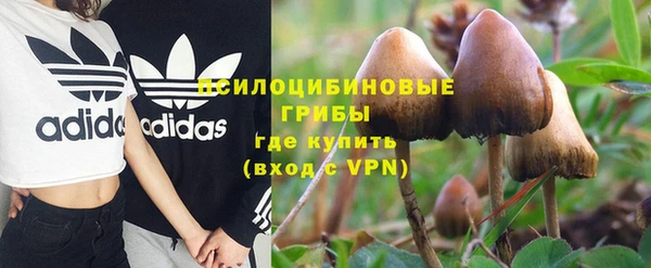 соль ск Гусиноозёрск
