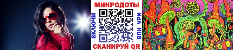 Псилоцибиновые грибы Psilocybe  даркнет сайт  Находка 